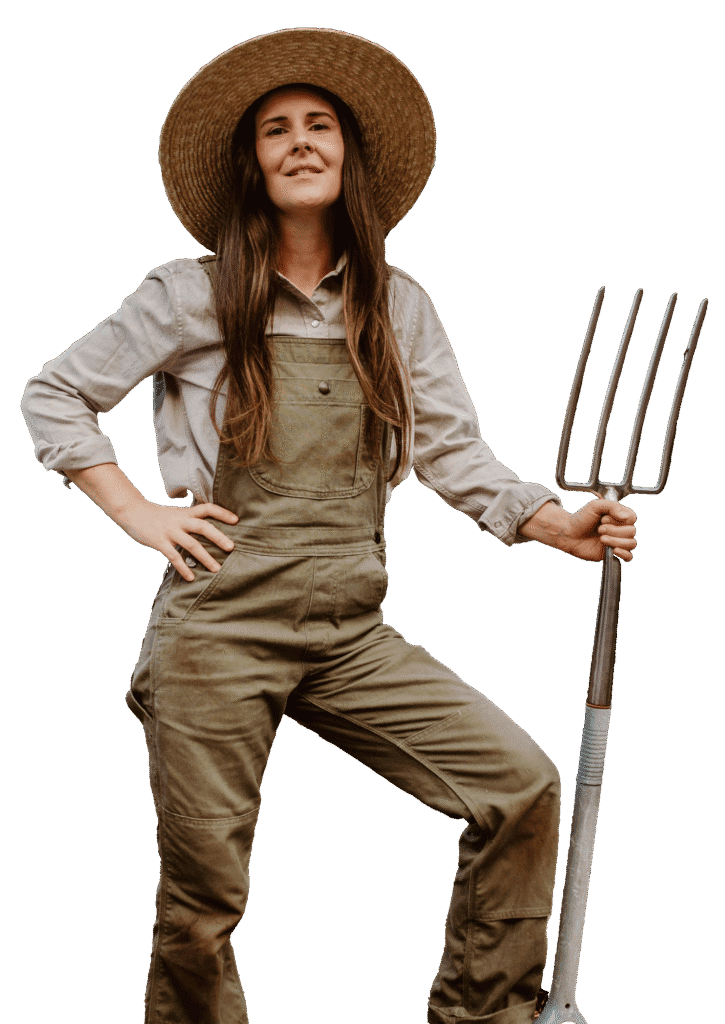 Featured image for “Home”